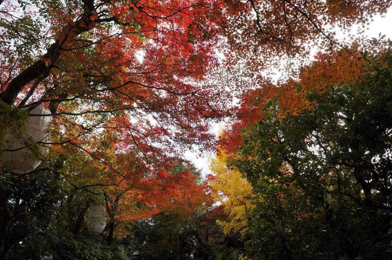 Aparthotel Suminagi Shinpontocho Kyoto